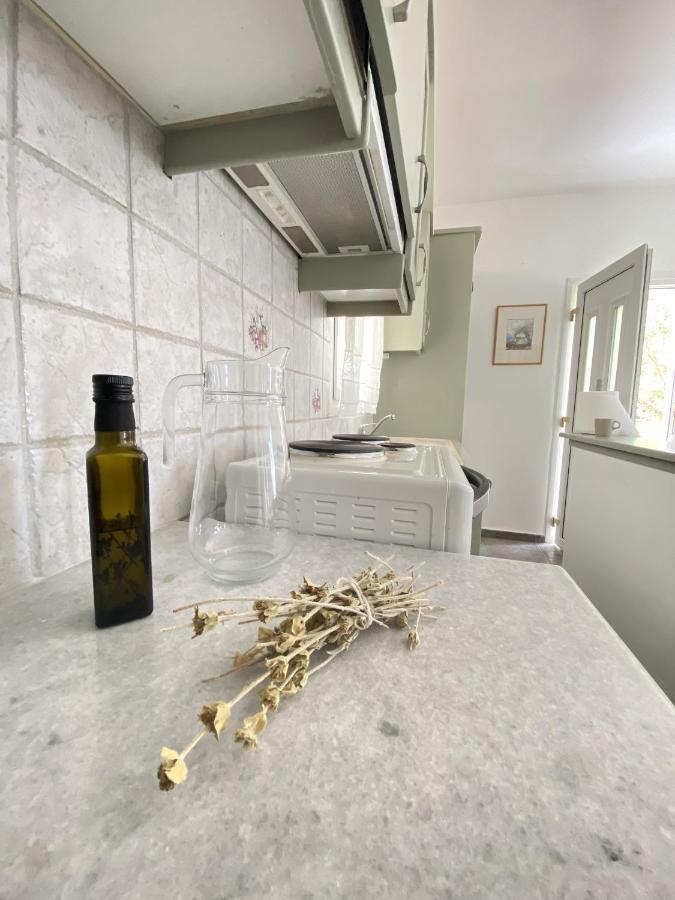 Andros Vineyard House With Sea View Apartamento Sineti Exterior foto